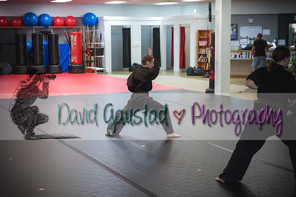 Midwest Professional Karate Black Belt Test 2016