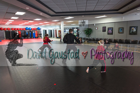 Midwest Professional Karate Black Belt Test 2016