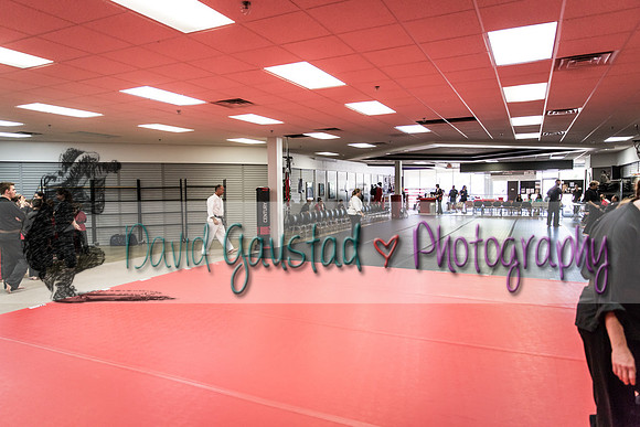 Midwest Professional Karate Black Belt Test 2016