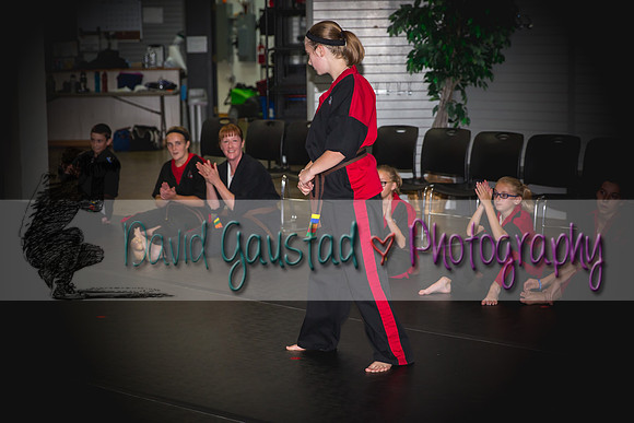 Midwest Professional Karate Black Belt Test 2016
