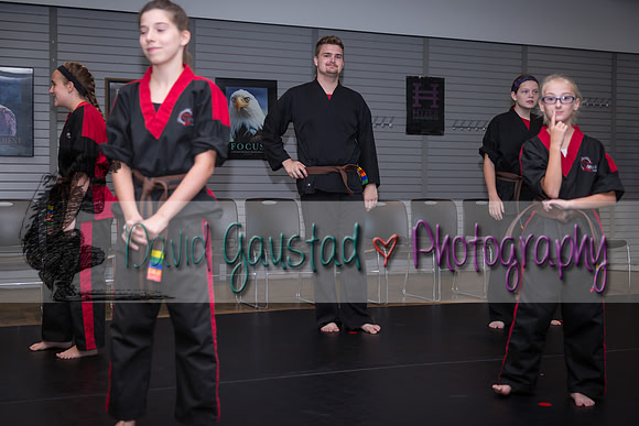 Midwest Professional Karate Black Belt Test 2016