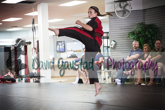 Midwest Professional Karate Black Belt Test 2016