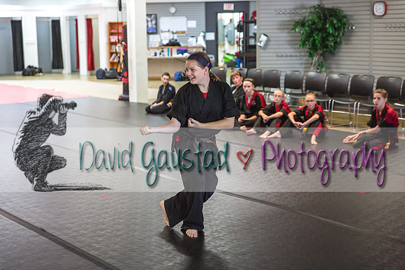 Midwest Professional Karate Black Belt Test 2016