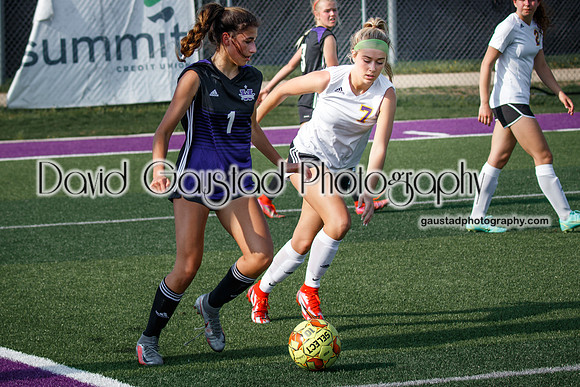 DeForest Girl's Soccer vs Waunakee