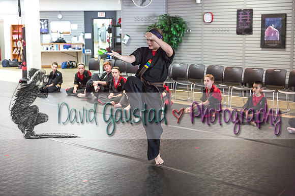 Midwest Professional Karate Black Belt Test 2016