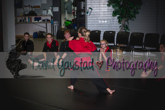Midwest Professional Karate Black Belt Test 2016