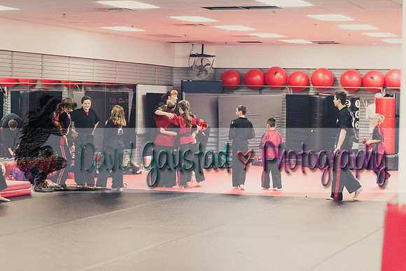 Midwest Professional Karate Black Belt Test 2016