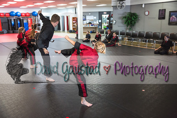 Midwest Professional Karate Black Belt Test 2016