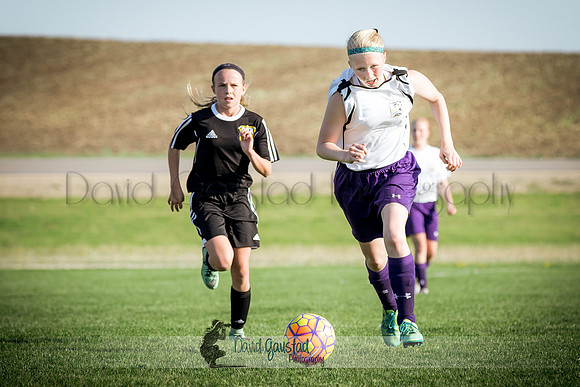 DeForest Norski soccer vs Rock on 5/21/2016