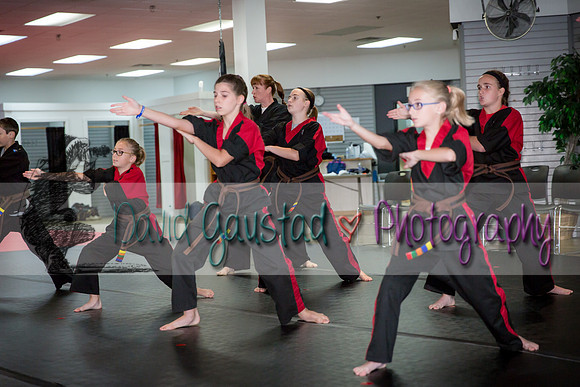 Midwest Professional Karate Black Belt Test 2016
