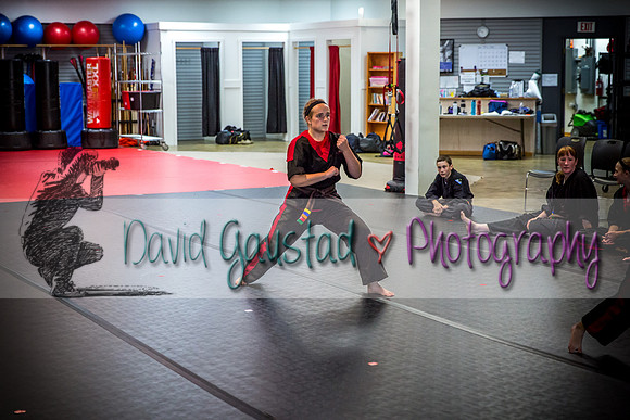 Midwest Professional Karate Black Belt Test 2016