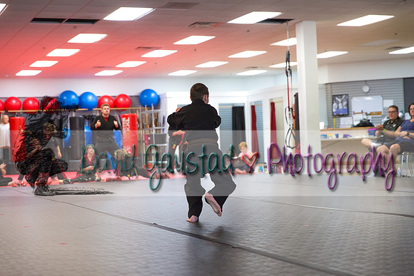 Midwest Professional Karate Black Belt Test 2016