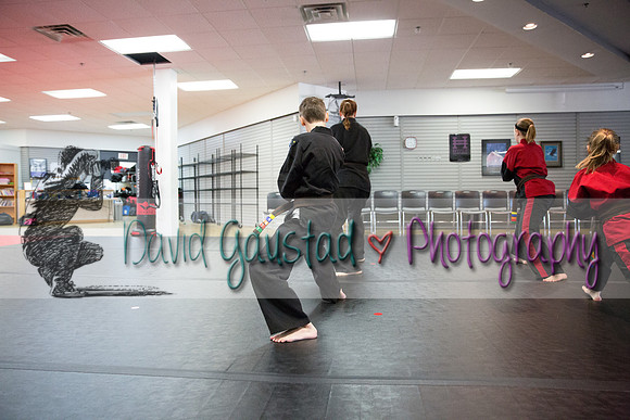 Midwest Professional Karate Black Belt Test 2016