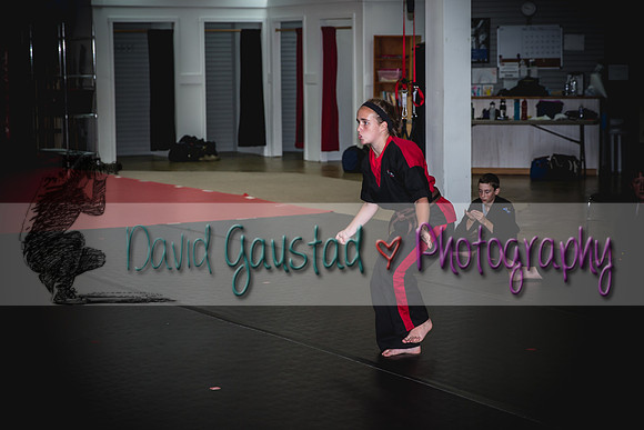 Midwest Professional Karate Black Belt Test 2016