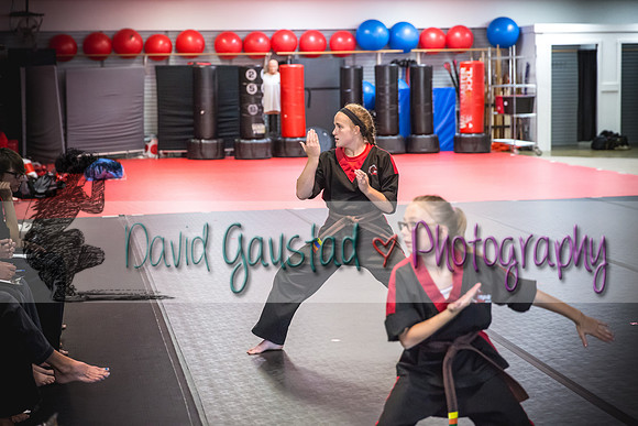 Midwest Professional Karate Black Belt Test 2016