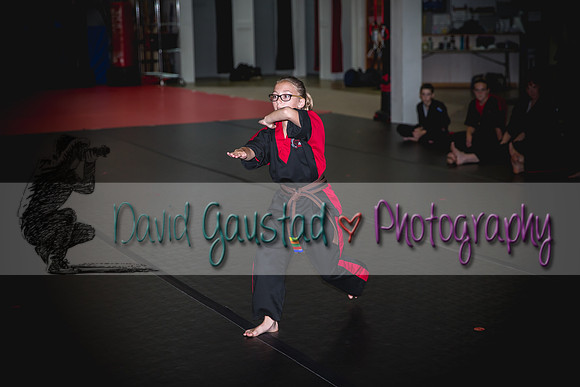 Midwest Professional Karate Black Belt Test 2016