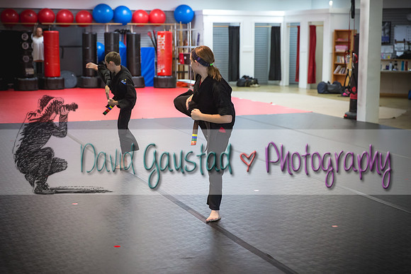 Midwest Professional Karate Black Belt Test 2016