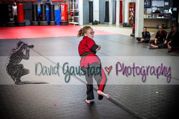 Midwest Professional Karate Black Belt Test 2016