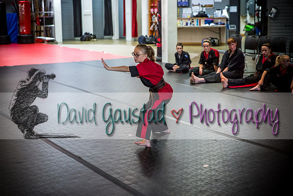 Midwest Professional Karate Black Belt Test 2016