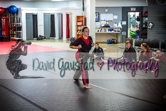 Midwest Professional Karate Black Belt Test 2016