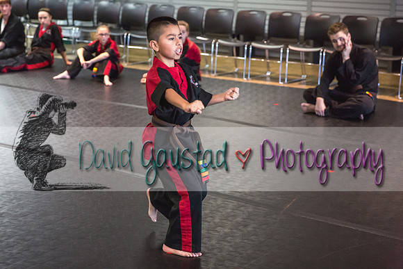 Midwest Professional Karate Black Belt Test 2016