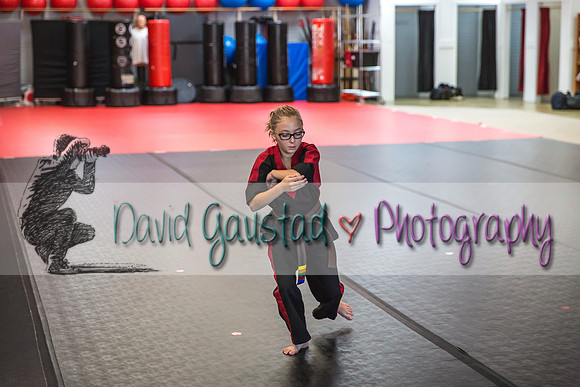 Midwest Professional Karate Black Belt Test 2016