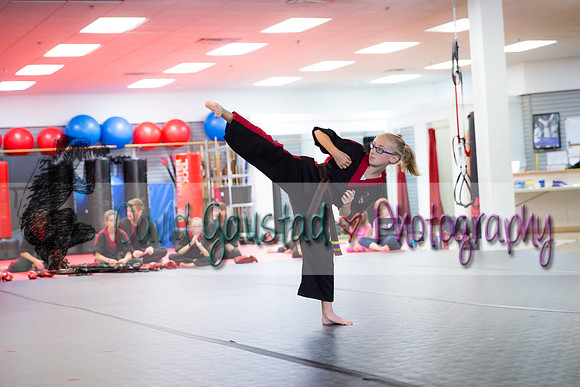 Midwest Professional Karate Black Belt Test 2016