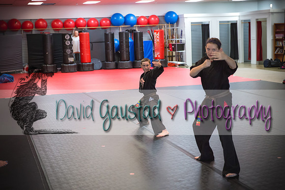Midwest Professional Karate Black Belt Test 2016