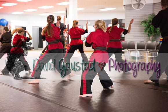 Midwest Professional Karate Black Belt Test 2016