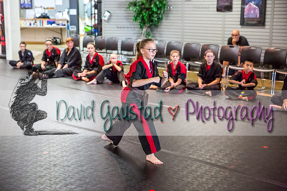 Midwest Professional Karate Black Belt Test 2016
