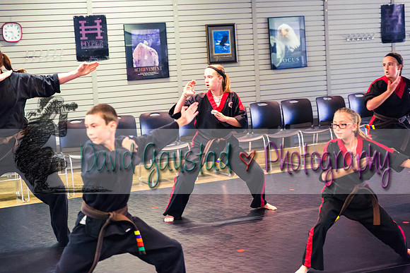 Midwest Professional Karate Black Belt Test 2016