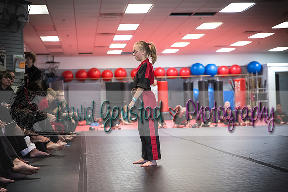 Midwest Professional Karate Black Belt Test 2016