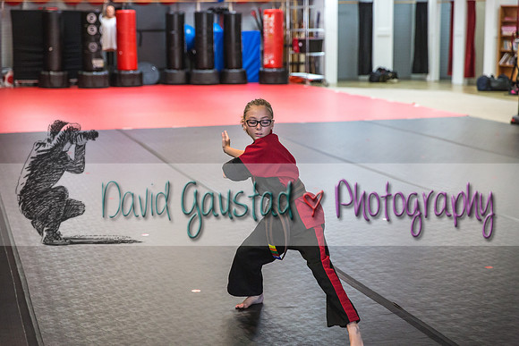 Midwest Professional Karate Black Belt Test 2016