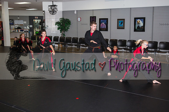 Midwest Professional Karate Black Belt Test 2016