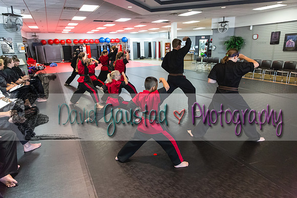 Midwest Professional Karate Black Belt Test 2016