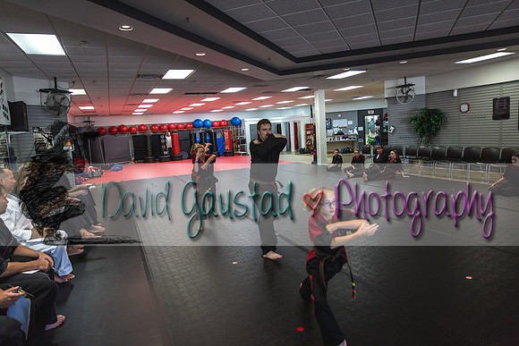 Midwest Professional Karate Black Belt Test 2016