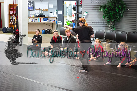 Midwest Professional Karate Black Belt Test 2016