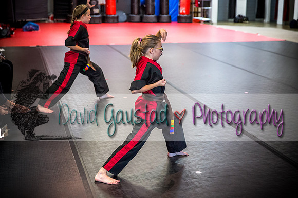 Midwest Professional Karate Black Belt Test 2016