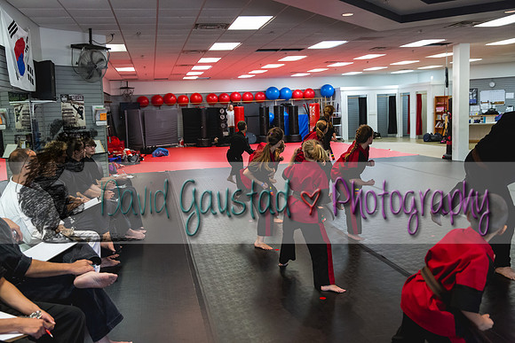 Midwest Professional Karate Black Belt Test 2016
