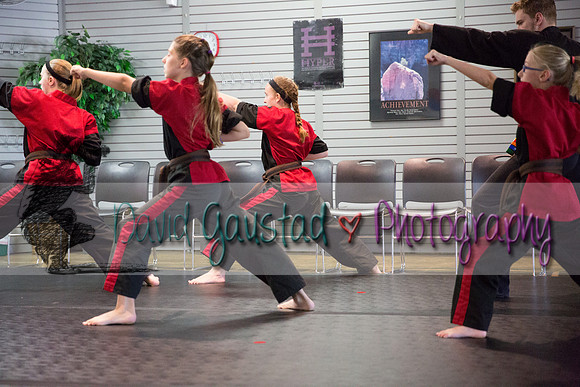 Midwest Professional Karate Black Belt Test 2016