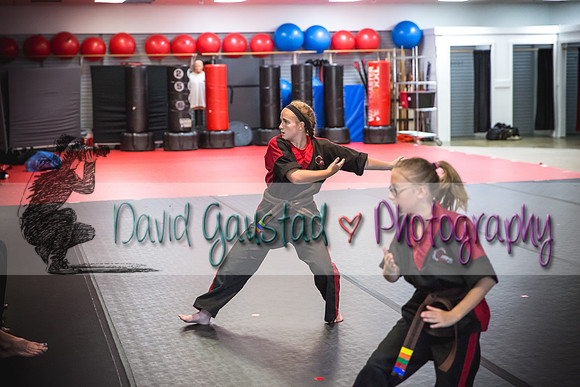 Midwest Professional Karate Black Belt Test 2016