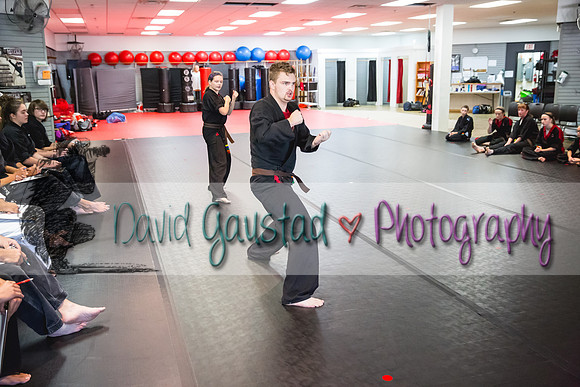 Midwest Professional Karate Black Belt Test 2016