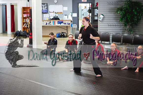 Midwest Professional Karate Black Belt Test 2016