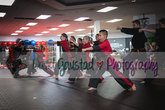Midwest Professional Karate Black Belt Test 2016