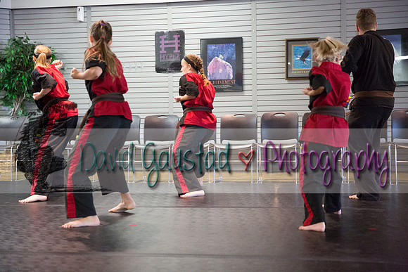 Midwest Professional Karate Black Belt Test 2016