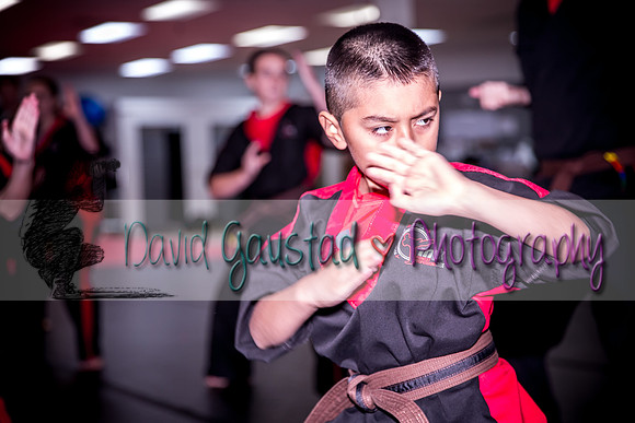 Midwest Professional Karate Black Belt Test 2016
