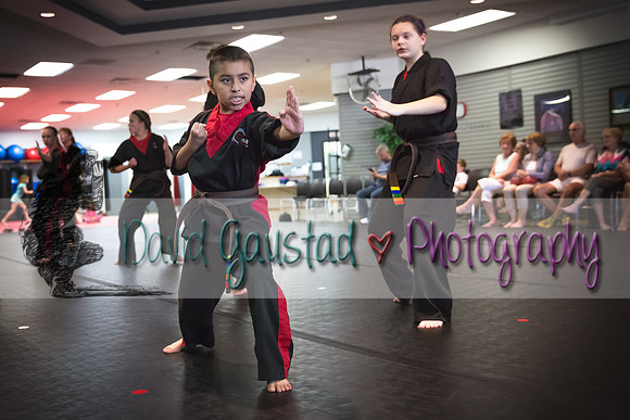 Midwest Professional Karate Black Belt Test 2016