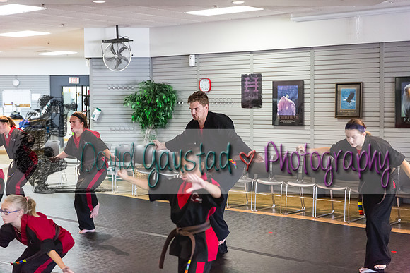 Midwest Professional Karate Black Belt Test 2016