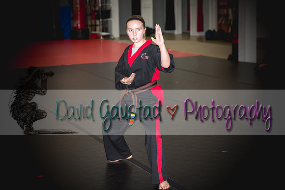 Midwest Professional Karate Black Belt Test 2016