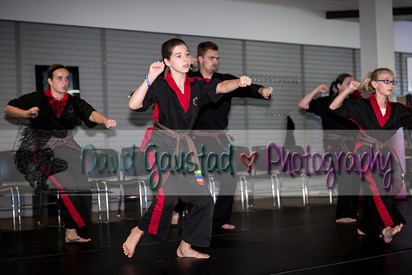 Midwest Professional Karate Black Belt Test 2016